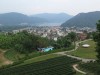 img_3501