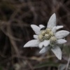mg_8060